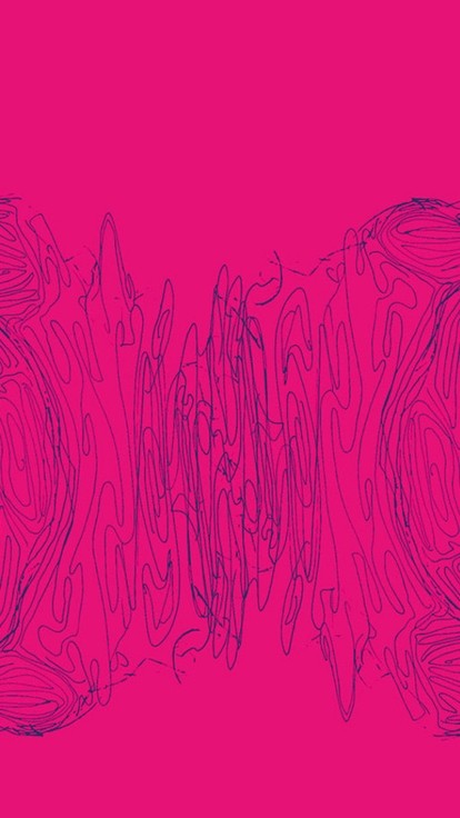 Blue line drawing of a calm, slightly pensive male face reflected horizontally from the centre of the banner; the background is solid magenta. 