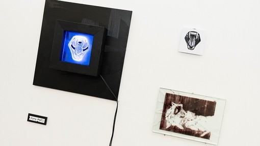 A shining white futuristic mask in a glowing blue display box surrounded by a black frame; a fanged mouth snarling on a plain white background; a beast-like shape on a black ink background set under a sheet of broken glass.