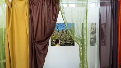 An image of a girl on a mountain behind curtains