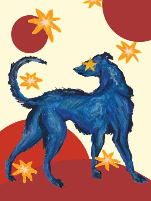 illustration of a dog with yellow stars