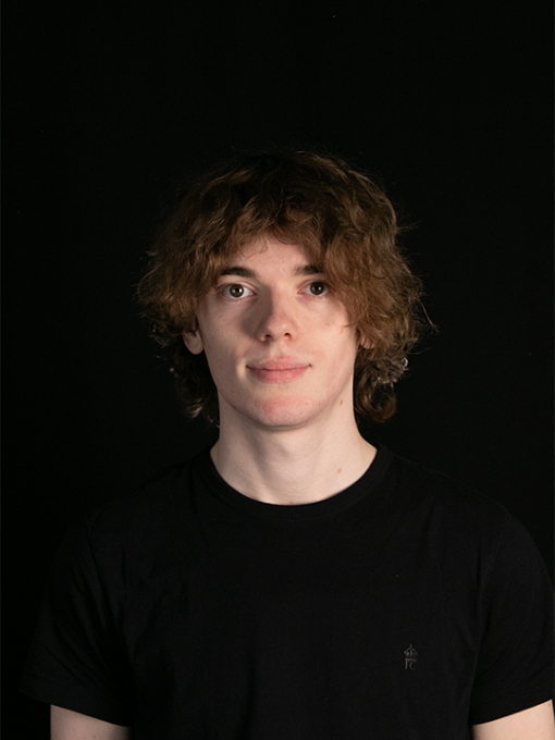 portrait of calon llewelyn