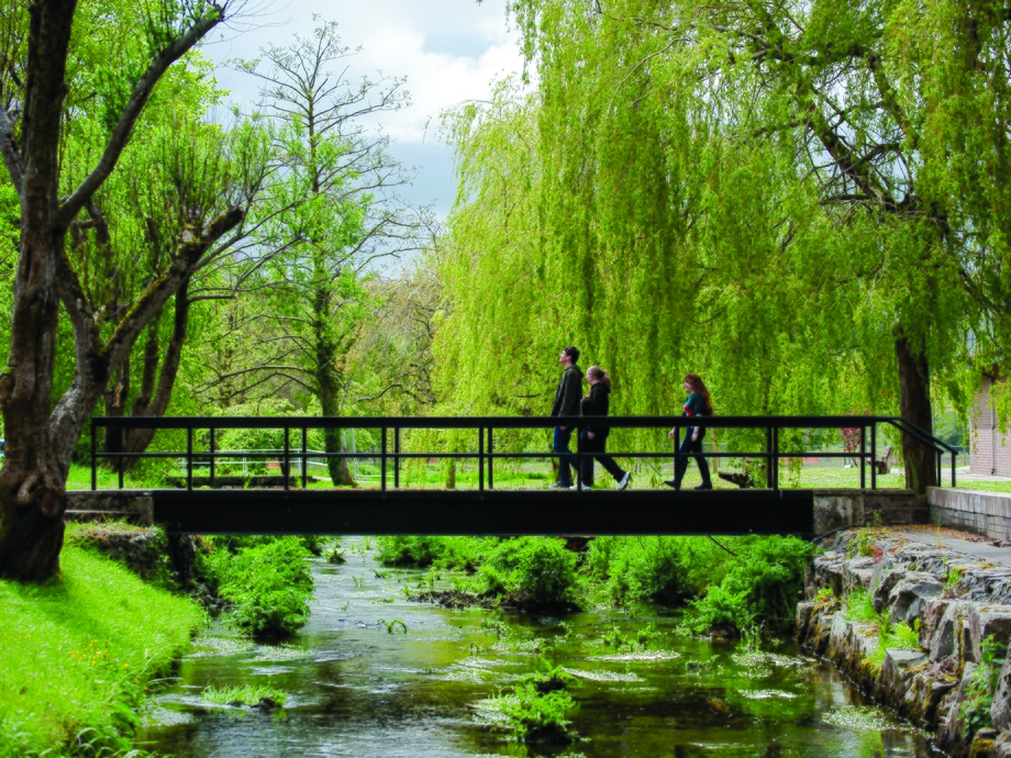 Students walking across bridge surrounded by green trees
