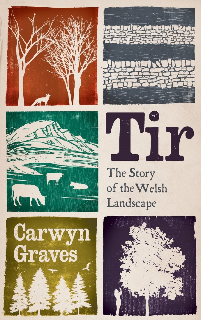 Cover of Carwyn's book 'Tir'