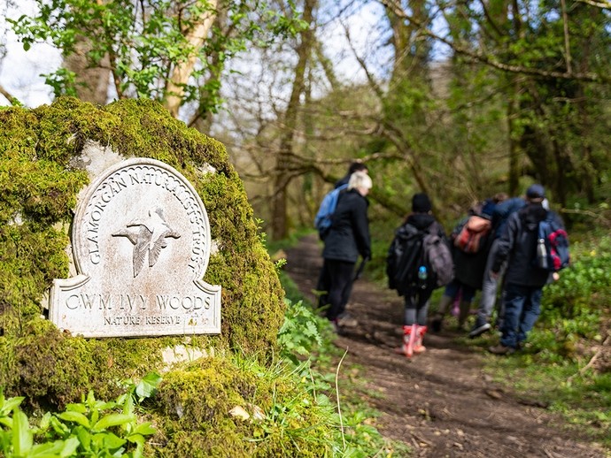 A plaque on a mossy boulder reads: Cwm Ivy Woods, Nature Reserve, Glamorgan Naturalists Trust; behind it, a study group stand on a path through deciduous woodland. 