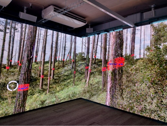 Digital walls show a conifer plantation with red brands across each tree trunk. 