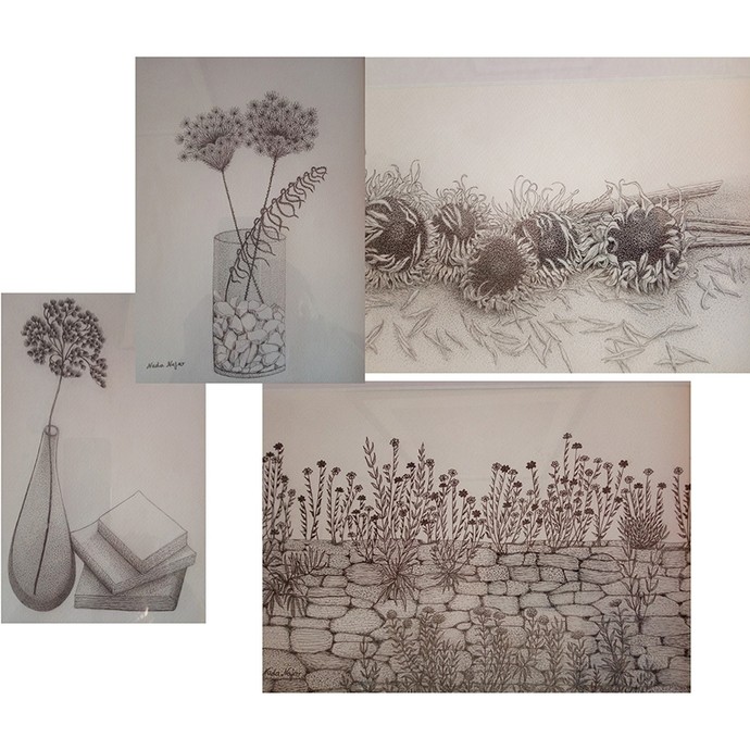 Fine line drawings of sunflower heads and dried plant seedheads. 