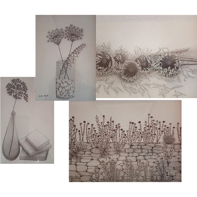 Fine line drawings of sunflower heads and dried plant seedheads.