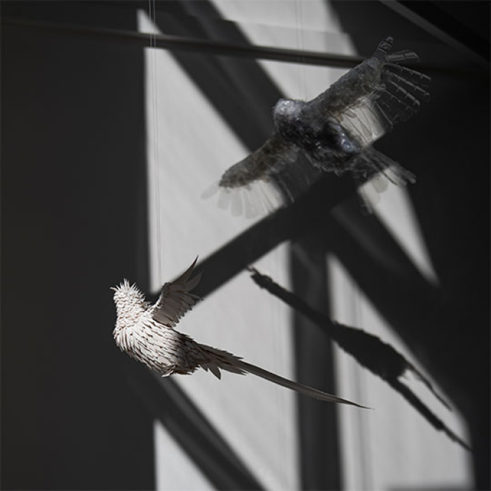 art and design of brids